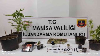 Yasadışı kenevir eken şahıslara operasyon