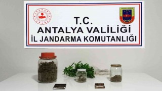Yasadışı kenevir üretimine jandarma baskını: 1 gözaltı