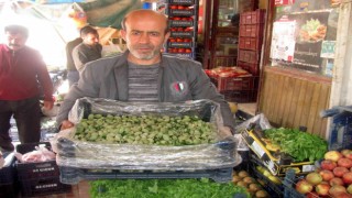 Yılın ilk yerli badem çağlası 25 liradan satışa sunuldu