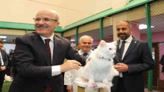 YÖK Başkanı Prof. Dr. Özvar Van kedilerini sevdi