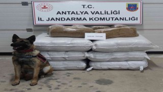 Yolcu otobüsünde 252 kilogram kaçak tütün ele geçirildi