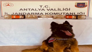 Yolcu otobüsünde uyuşturucu bulundu