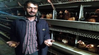 Yumurta üreticileri devletten destek bekliyor