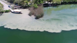 Zirai kanal temizliğinde atıklar Dalyan kanallarına aktı