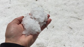 15 dakika etkili oldu, onlarca dönüm alan zarar gördü