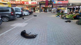 260 yıllık pazardaki bakımsızlık satıcıları bezdirdi