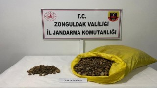 40 kilo salep soğanı için 218 bin TL ceza yediler