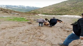 5 ay önce çığ altında kalan 3 İranlının cesedi bulundu