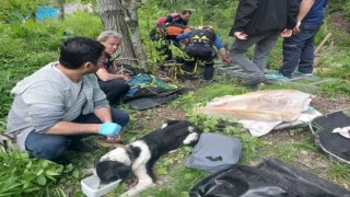 8 metre derinlikteki su kuyusuna düşen köpekler kurtarıldı