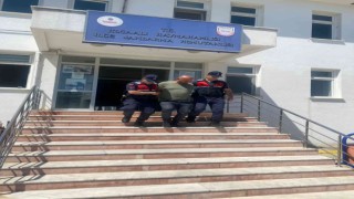 8 yıl hapis cezaları vardı, jandarma yakaladı