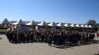 81 ilden 800 öğrenci Söğütte bir araya geldi