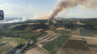 Adanada orman yangını kontrol altına alındı