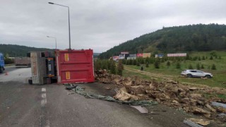 Ağaç kökü yüklü tır devrildi, sürücüsü yaralandı