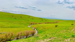 Ağrıda yeniden canlanan doğa büyülüyor