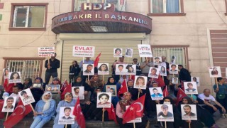 Ailelerin kararlı direnişi 994üncü gününde