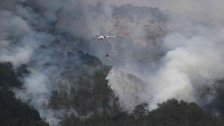Alanyadaki orman yangını kısmen kontrol altına alındı