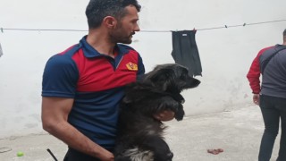 Alevler arasında kalan köpek son anda kurtarıldı