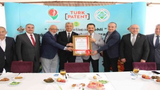 ‘Amasya patlıcan pehli yemeğine coğrafi işaret tescili