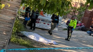 Amasyada kamyonetin çarptığı yaşlı kadın hayatını kaybetti