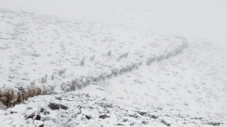Aniden bastıran kar yağışı Yüksekovayı beyaza bürüdü