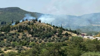 Antalyada orman yangını büyümeden söndürüldü