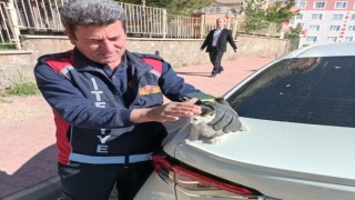 Aracın alt kısmına sıkışan kediyi itfaiye çıkarttı
