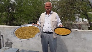 Arıcılar Derneği Başkanı İsmet Topal; “Polen vitamin deposudur”