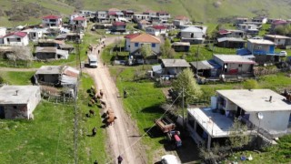 Asırlık yayla göçü başladı