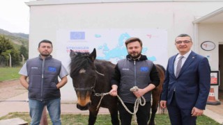 At ile insan ilişkisi içerisinde Hippoterapi yöntemi