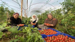 ATB Nisan ayı hal endeksini açıkladı