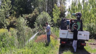 Bahar geldi ilaçlama hızlandı