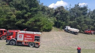 Bahçe İlçesi’ndeki orman yangınında 5 dekar alan zarar gördü