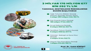 Bakan Kirişci, 6 farklı kalemde 3 milyar 176 milyon liralık destek ödemelerinin başladığını bildirdi