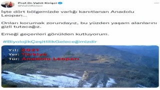 Bakan Kirişciden Anadolu Leoparı paylaşımı