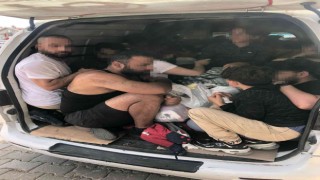 Balık istifi kaçış planını polisler bozdu