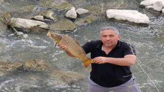 Balık ölümleri korkutuyor