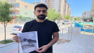 Batmanda kaybolan baba yadigarı papağanı bulana ödül