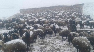 Besicilere Mayıs ayında kar engeli