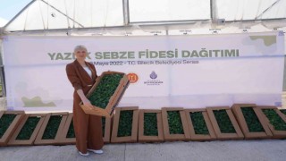 Bilecikte çiftçilere 100 bin domates, biber, karpuz ve patlıcan fidesi dağıtıldı