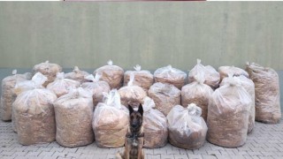 Bingölde 850 kilo yaprak tütünü ele geçirildi