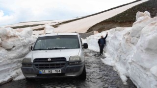 Bitliste kar esareti devam ediyor