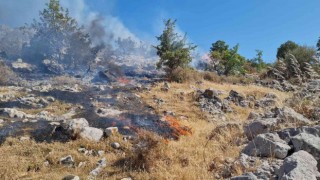 Bodrumda otluk ve makilik alanda yangın