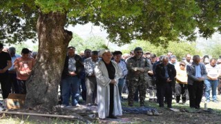 Bolluk ve bereket için 28 adak hayvanı kesildi