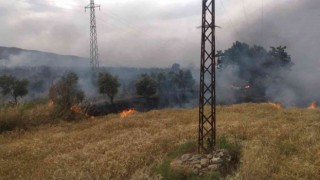 Bozdoğanda zirai alanda yangın çıktı