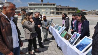 Bulanıkta resim sergisi