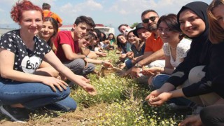 Burhaniyede GastroBaçem projesi hayata geçirildi