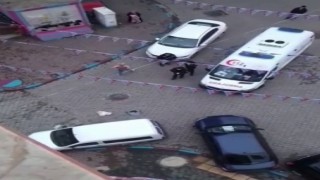 Bursada alkollü kadın ambulansa binmemek için direndi