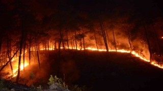 Bursada ormanlık alanlarda mangal yakmak yasaklandı