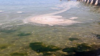 Büyükada açıklarında müsilaj benzeri kirlilik görüldü