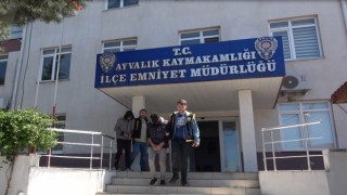 Çaldıkları 32 oğlağı bir otomobile sığdıran hırsızlar Ayvalık polisinden kaçamadı